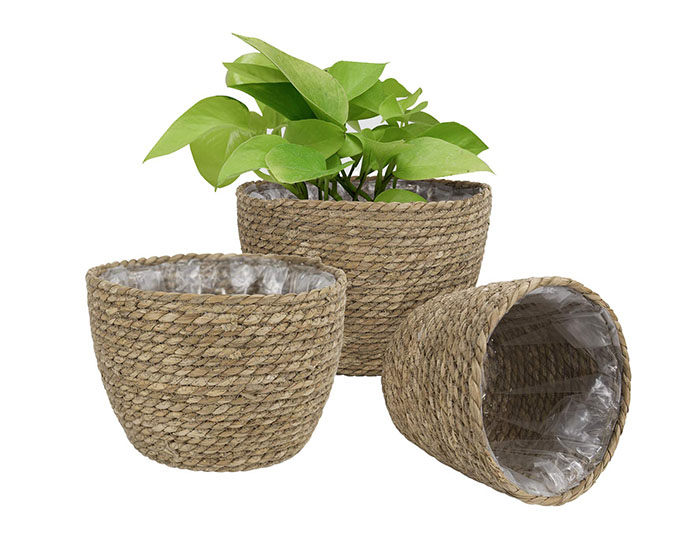 Jute Planter